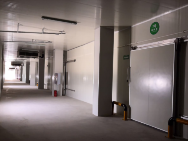 食品公司內建造一個1000平包子、水餃速凍冷庫費用是多少？