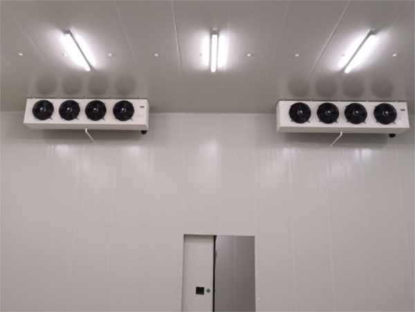 食品公司內建造一個1000平包子、水餃速凍冷庫費用是多少？