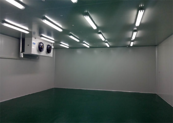 食品公司內建造1000平加工型冷庫大概費用是多少？