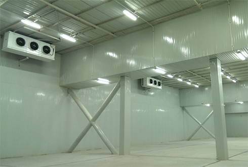 速凍冷庫設計注意事項及其具備功能有哪些？