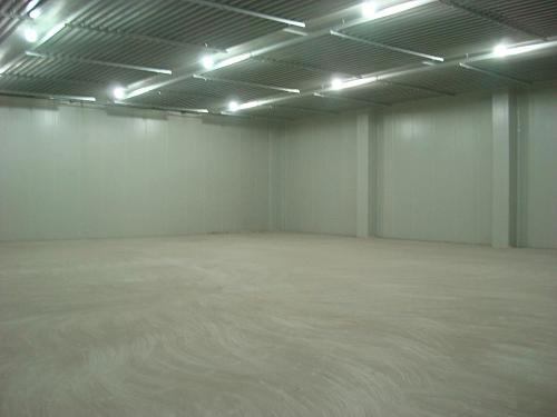 西蘭花冷庫存儲多久，100噸西蘭花冷庫建造多少錢