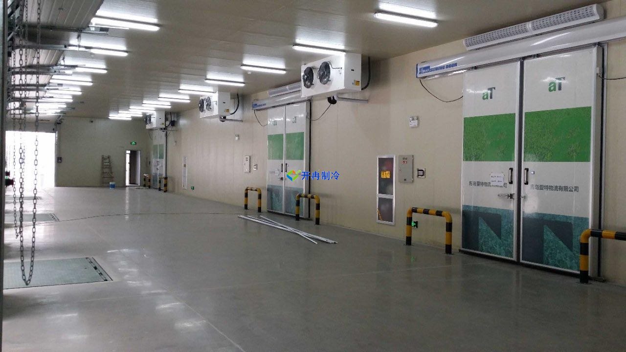 水果速凍庫多少錢？水果冷凍庫設備造價
