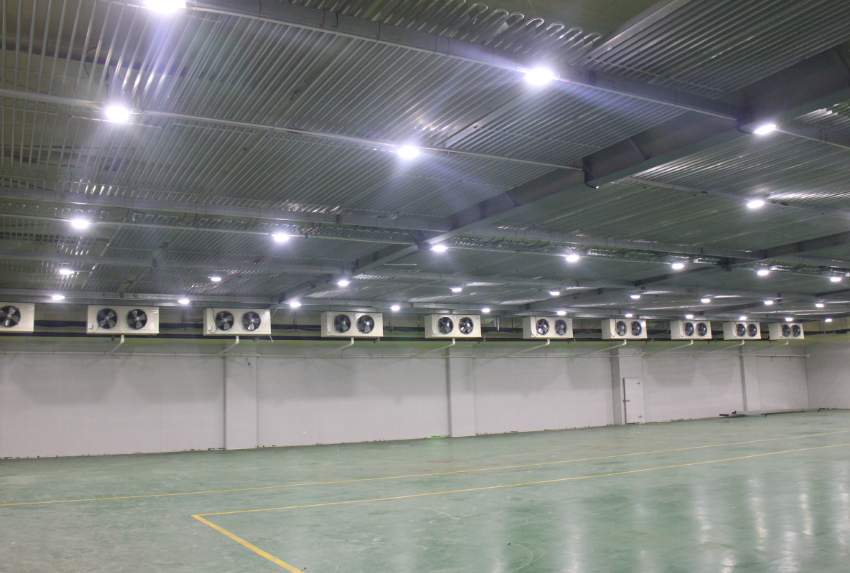500噸冷凍肉冷庫建造，-18℃低溫肉類冷凍庫安裝造價