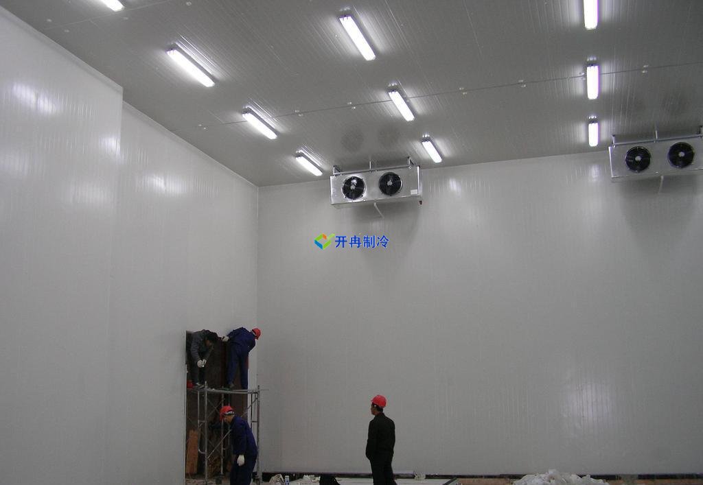 5000噸大蒜需建多大冷庫，冷庫造價(jià)多少錢