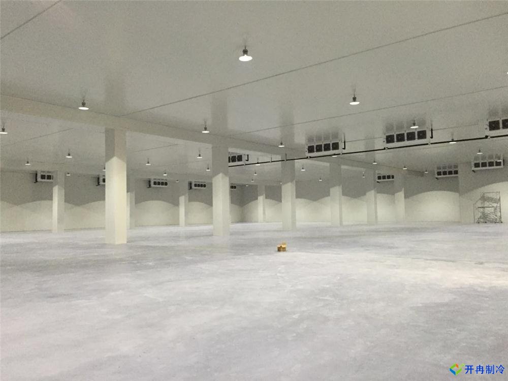 浙江建-60℃金槍魚超低溫冷庫，冷庫總價預(yù)算多少