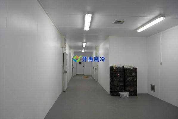 定制酒店冷凍庫、食堂雙溫庫、餐飲冷藏庫工程造價