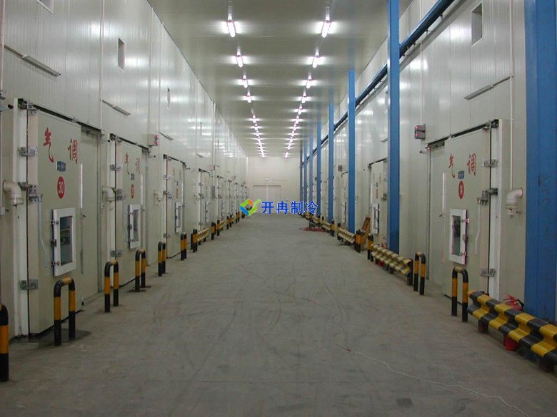 開(kāi)冉制冷，蒜薹冷藏庫(kù)