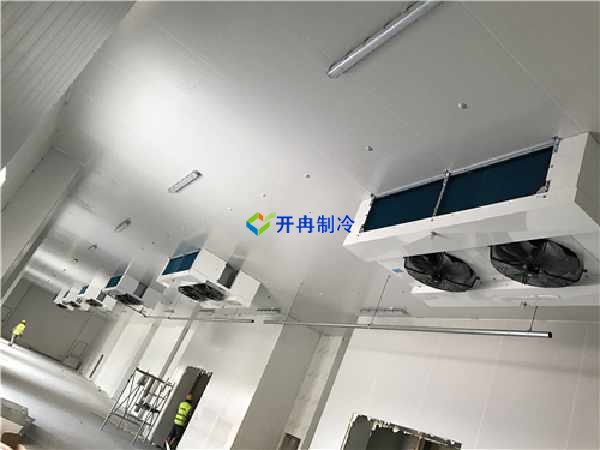 魚糜低溫冷凍庫(kù)